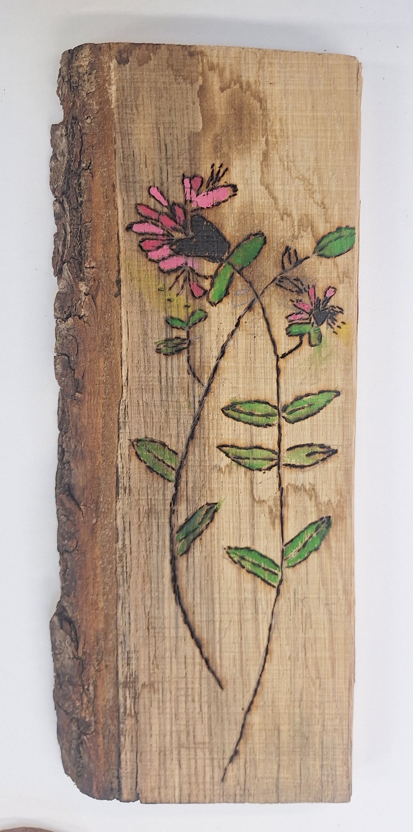 Art and Nature Camp for children
