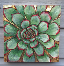 Load image into Gallery viewer, Alpine Collection