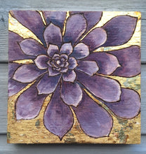 Load image into Gallery viewer, Alpine Collection