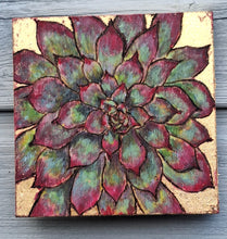 Load image into Gallery viewer, Alpine Collection