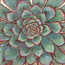 Load image into Gallery viewer, Alpine Collection