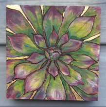 Load image into Gallery viewer, Alpine Collection