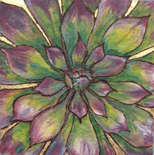 Load image into Gallery viewer, Alpine Collection