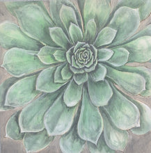 Load image into Gallery viewer, Alpine Collection