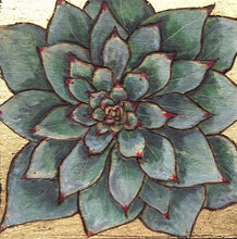 Load image into Gallery viewer, Alpine Collection