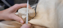 Load image into Gallery viewer, An introduction to Soap Stone Carving Course