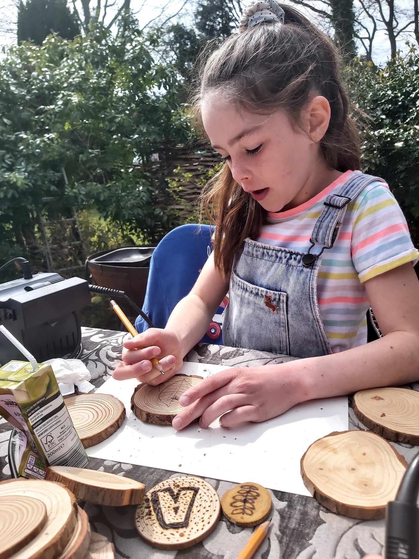 Pyrography Weekender             with Ruth Wheeler