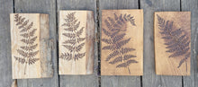 Load image into Gallery viewer, Fern on Oak
