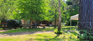 Woodland evening Retreats in Surrey