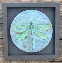 Load image into Gallery viewer, Dragonflies Collection
