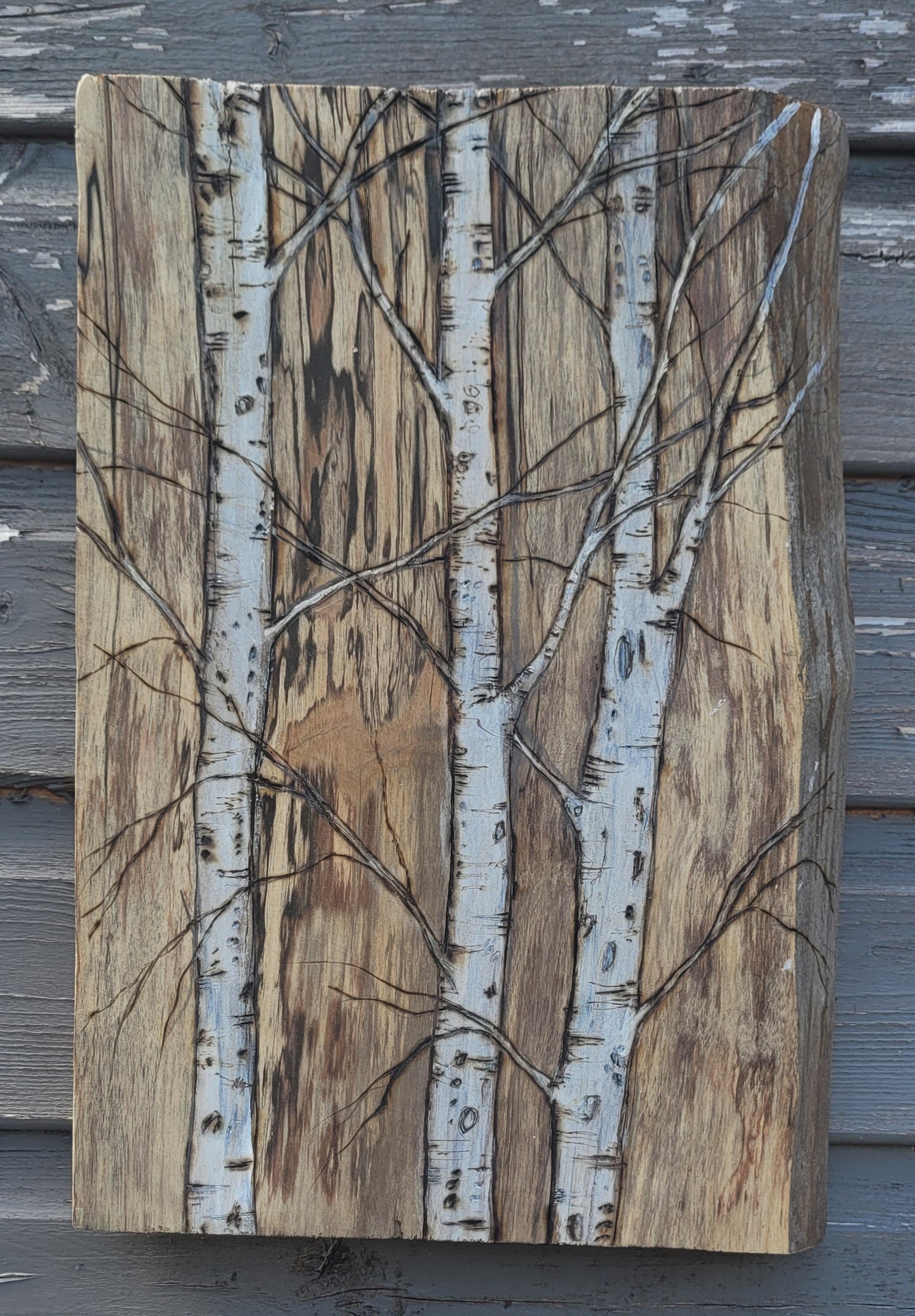 Birch on Birch Wood 1