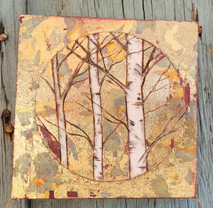 Mini  Birch Trees forest round on a square