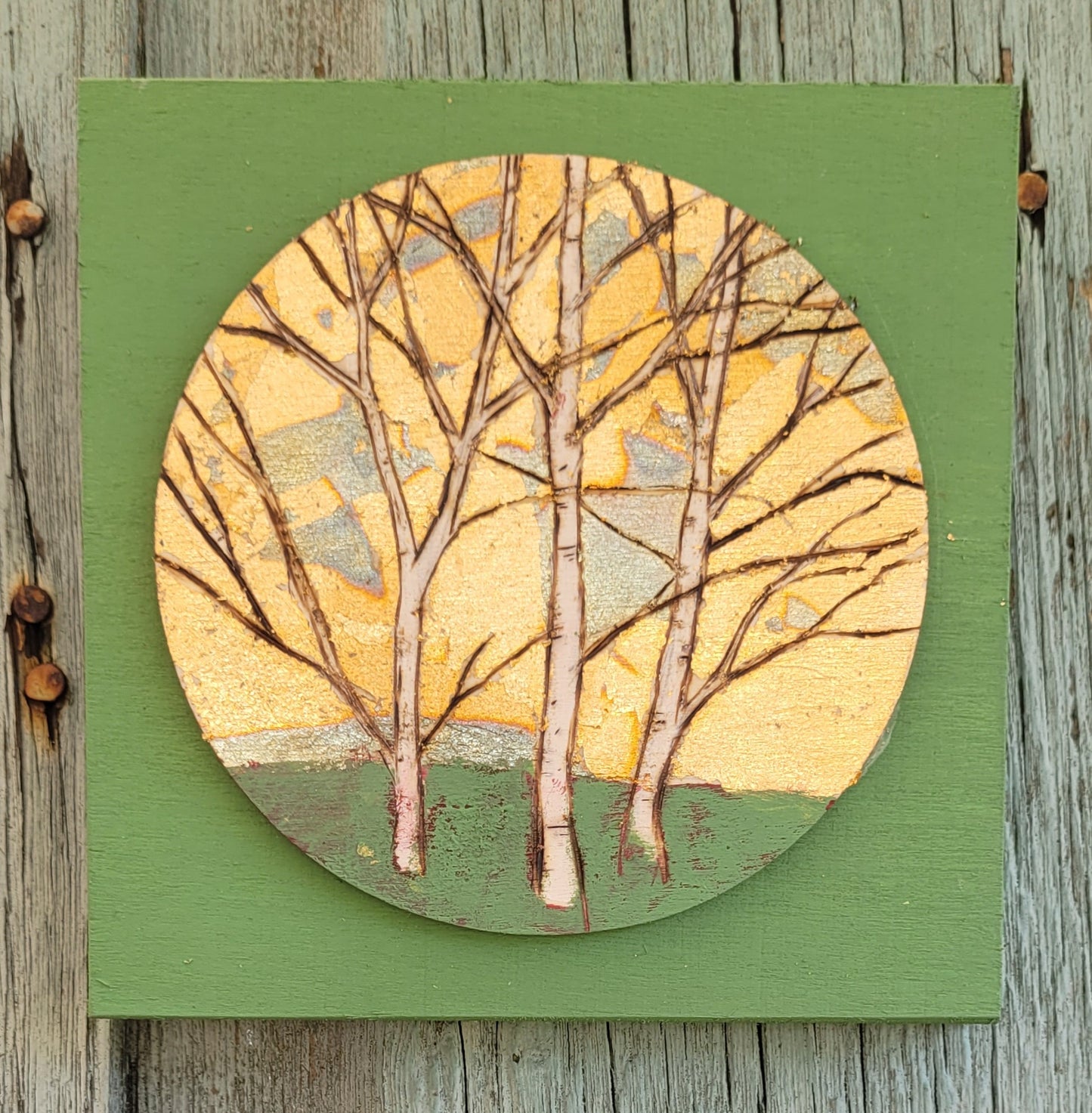 Mini  Birch Trees forest round on a square.