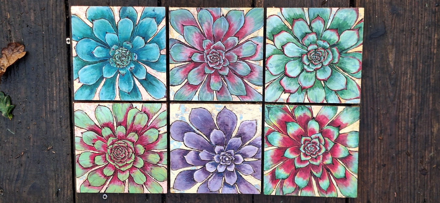 Alpine Collection