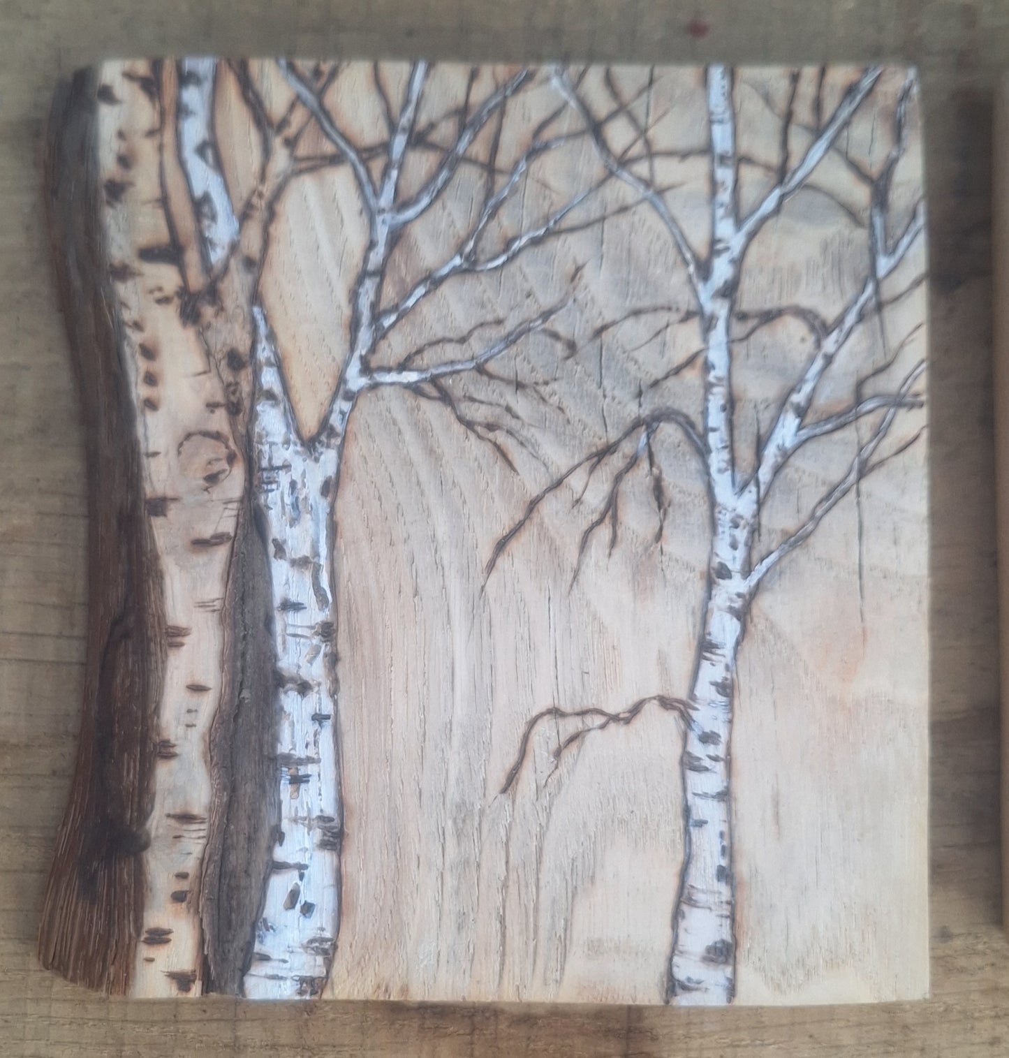 Birch on Rustic Wood