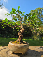 Load image into Gallery viewer, The Creative Club Sculpt, Burn and Carve Workshops at the earth studios.
