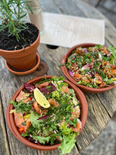 Load image into Gallery viewer, Art and Wellness Retreat Cornwall      Ruth Wheeler 9th-15th  July 2026
