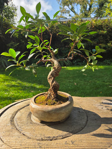 The Creative Club Sculpt, Burn and Carve Workshops at the earth studios.