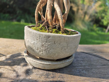 Load image into Gallery viewer, The Creative Club Sculpt, Burn and Carve Workshops at the earth studios.
