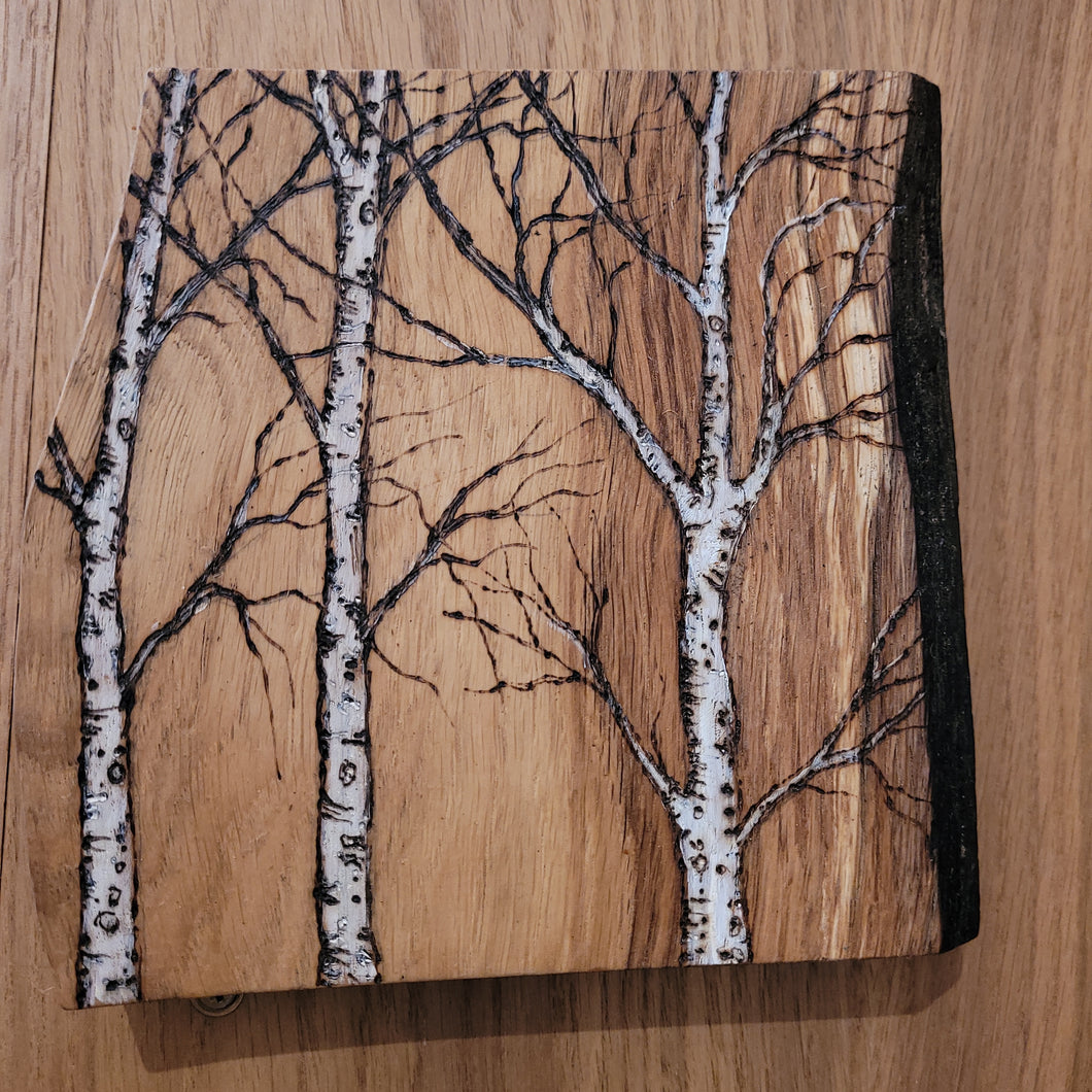 Little Birch Trees on Oak