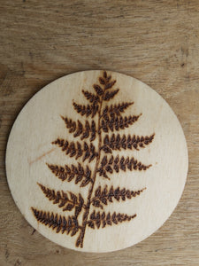 Fern Coaster