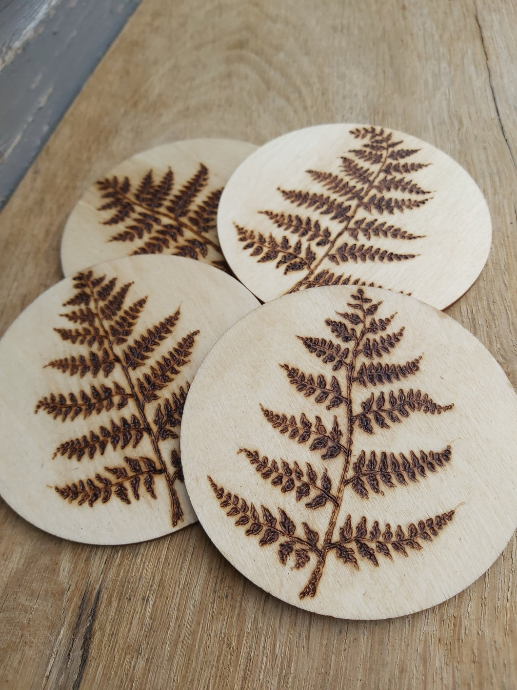 Fern Coaster