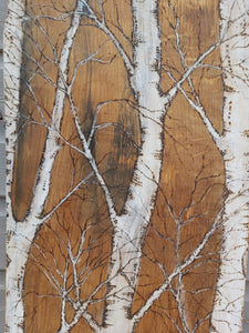 Graceful Birch Trees