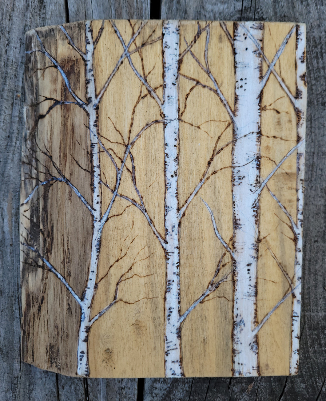 Four Birches on Birch Wood