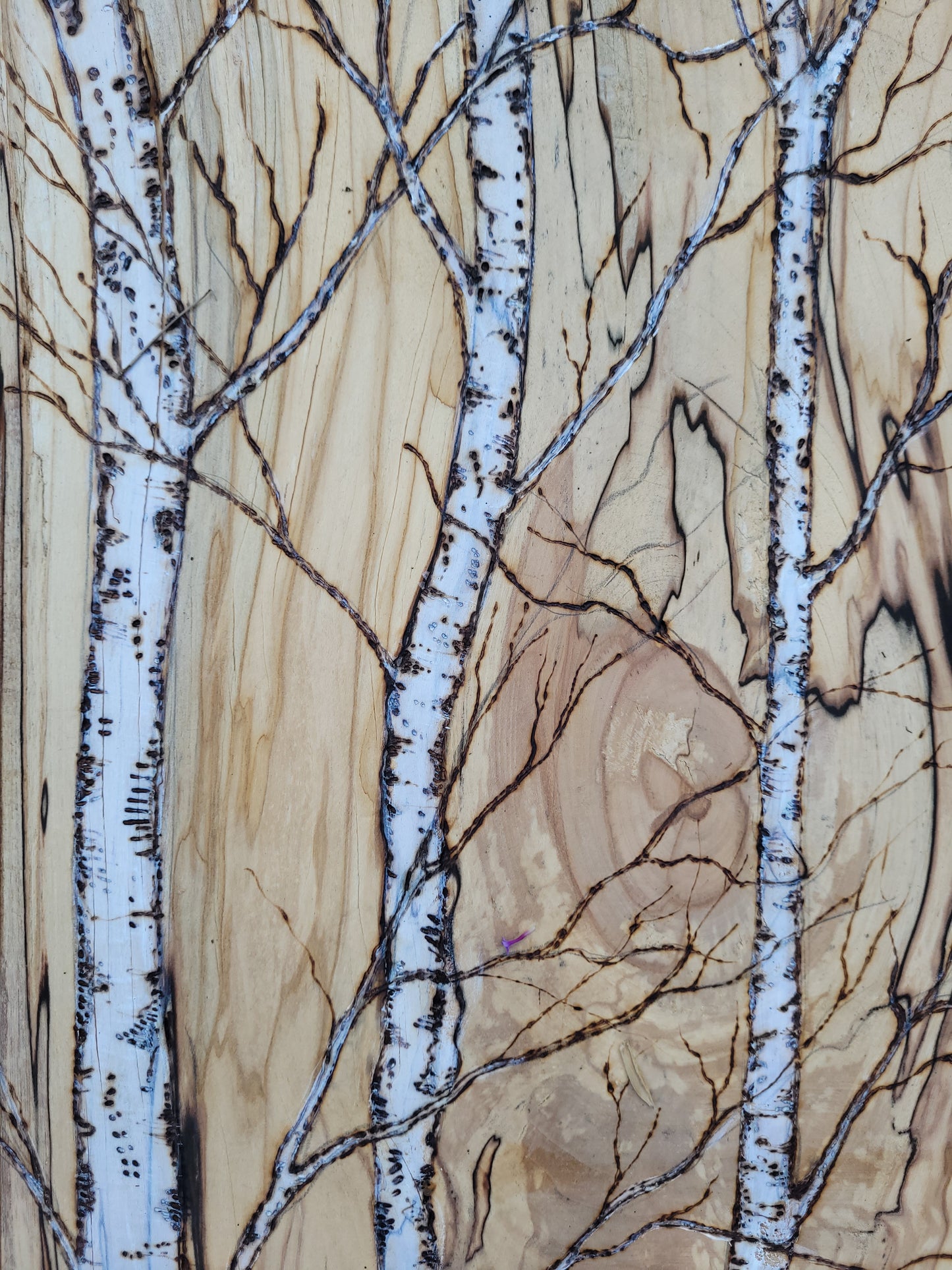 Tall 3 birches on a Birch Plank