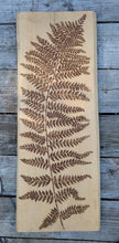 Load image into Gallery viewer, XL Fern on Beech Wood
