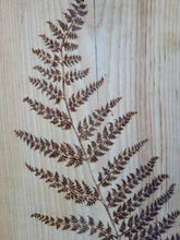 Load image into Gallery viewer, Large Fern on Beech
