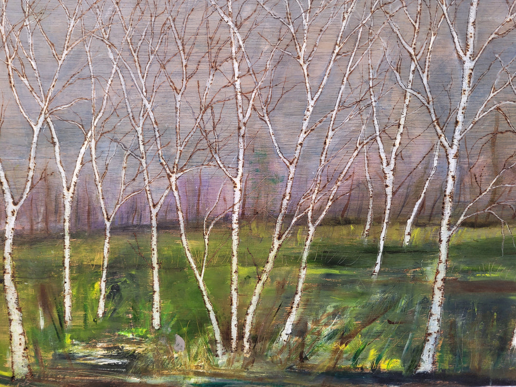 Spring Birch Landscape