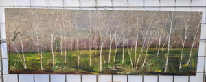 Spring Birch Landscape