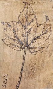 The Art of Pyrography Workshop